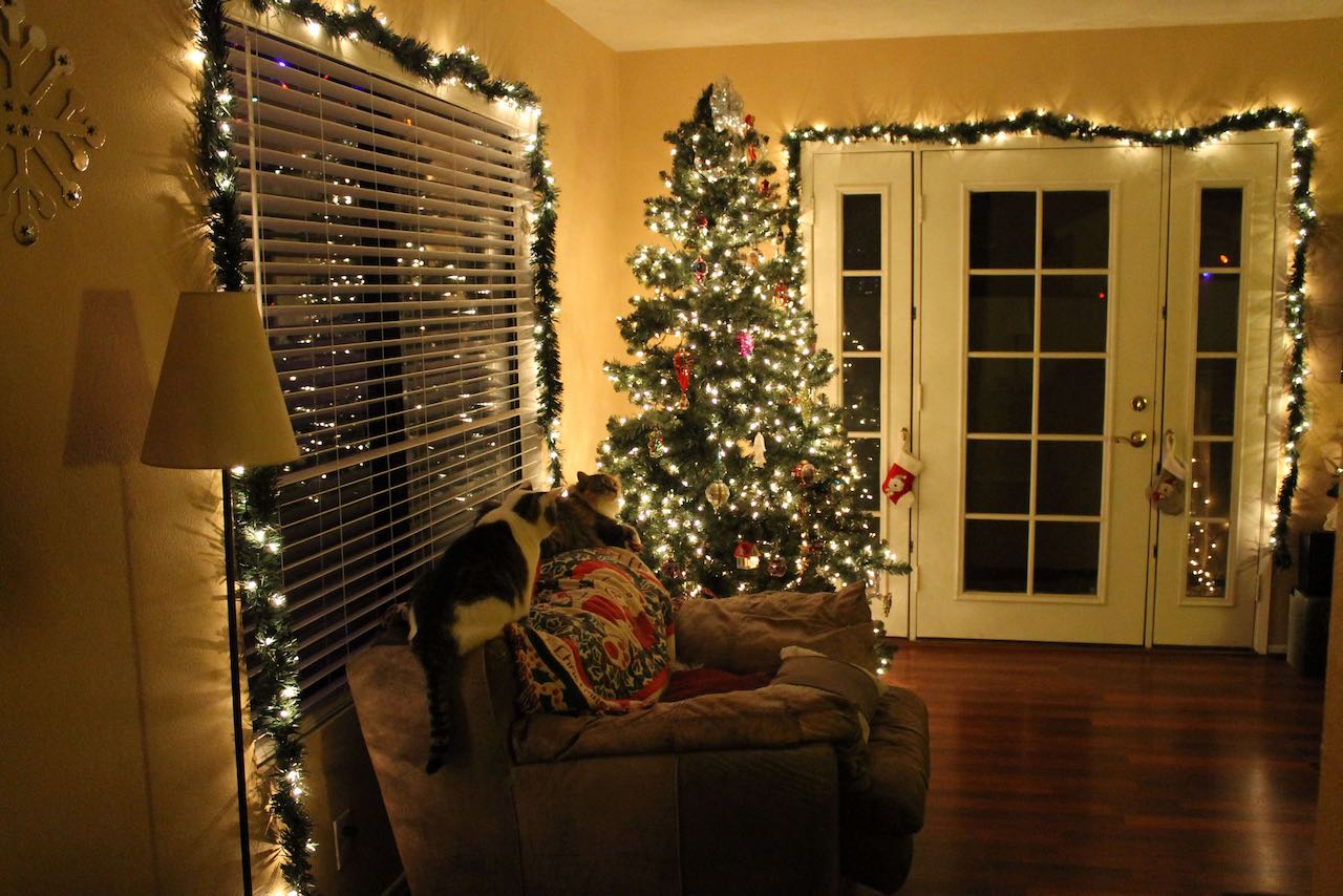 ¿Muchas luces navideñas? Para ahorrar energía esta temporada decembrina, CFE da estos consejos