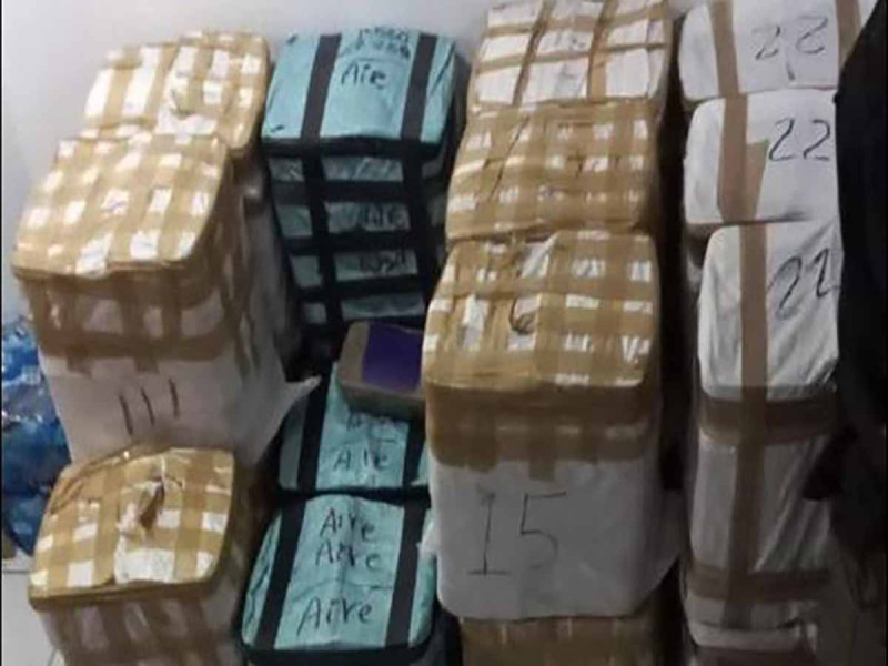 ‘Revientan’ almacén de drogas en Tijuana… había una tonelada de metanfetamina: Sedena