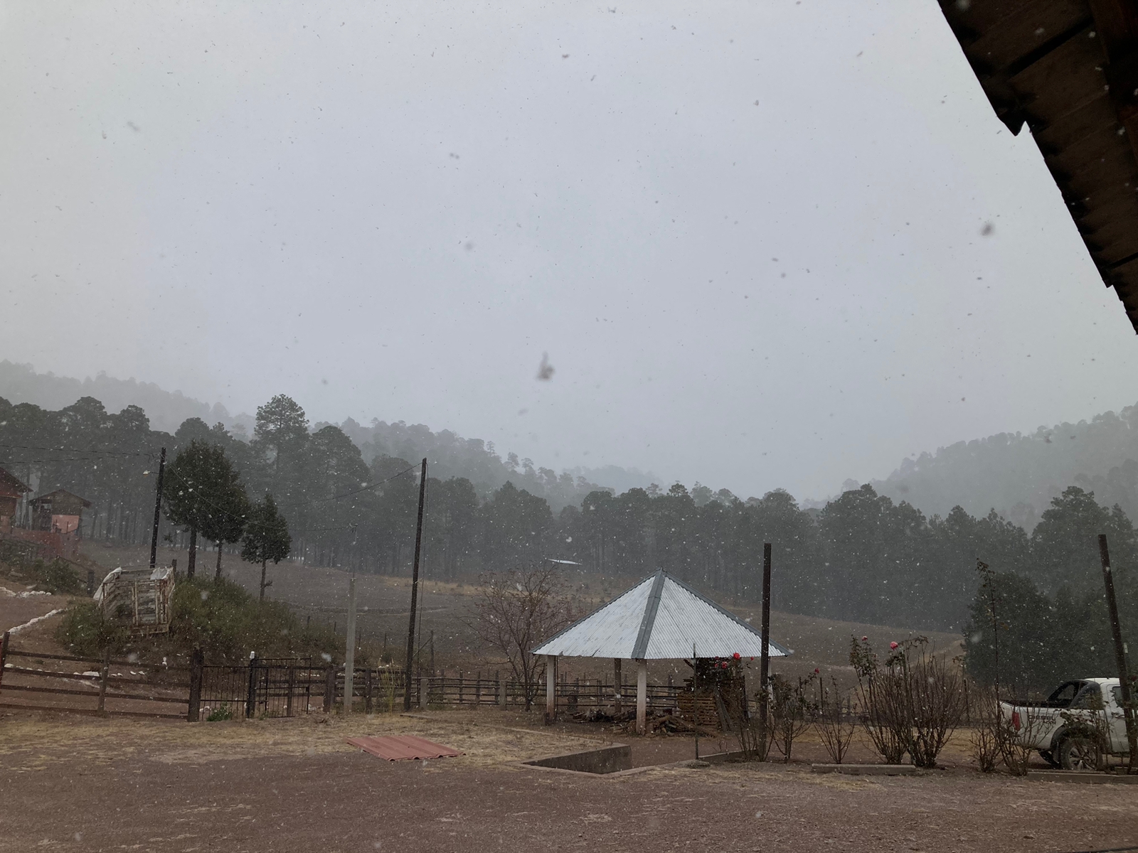 (VIDEO) ¡Está ‘plumeando’! Se registra ligera nevada en Santa Gertrudis; temperaturas bajan a -3 grados