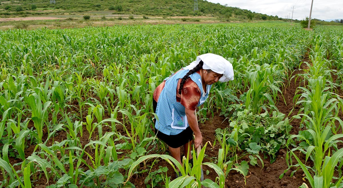 No es sano que el encargado de la autosuficiencia alimentaria se peleé con la parte productiva: AARC
