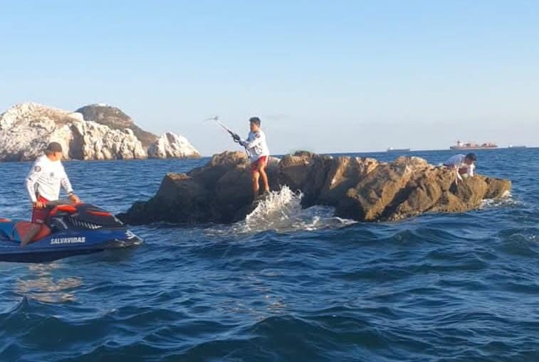 Policía Acuática retiran redes de pesca donde descansan los lobos marinos en Mazatlán