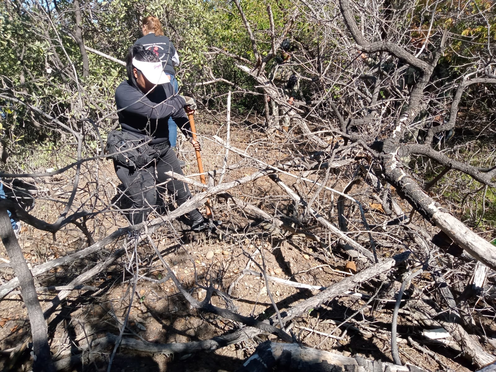 Durante el 2022, madres rastreadoras localizaron a 11 tesoros en el sur de Sinaloa