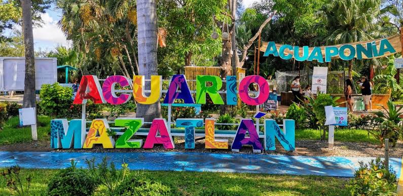 ¿Y el Museo de Cera? Sin certeza se encuentra el destino del Acuario Mazatlán
