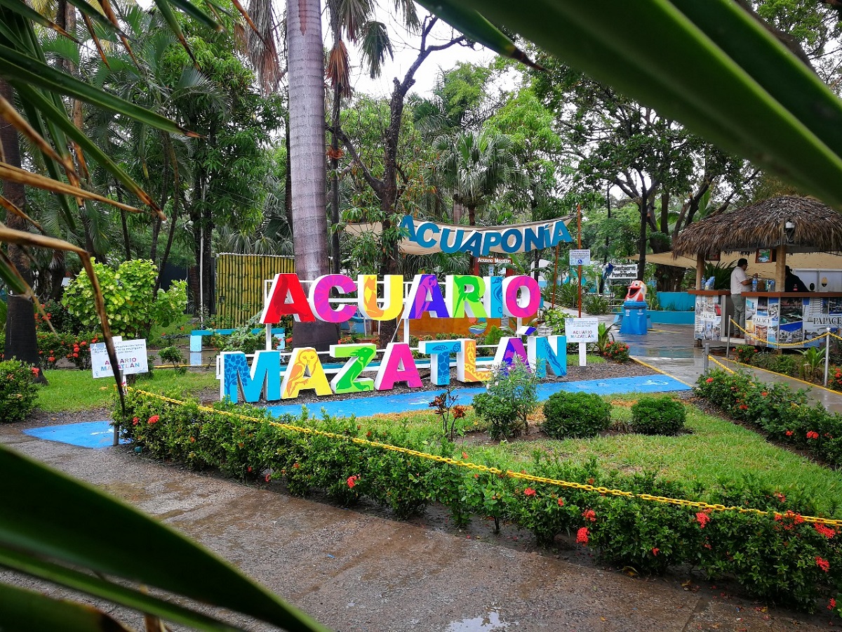 Acuario Mazatlán tendrá horario navideño, entérate cuándo puedes visitarlo