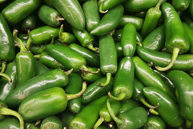 Sader garantiza abasto de hortalizas para estas fiestas patrias, Sinaloa tiene su aportación
