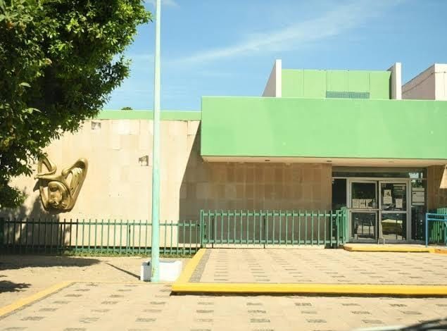 En Ahome, adulto mayor es atacado por enjambre de abejas; se encontraba podando un árbol