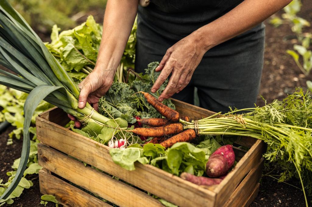 El decreto que prohíbe maíz transgénico y glifosato aumentará precio de los alimentos: Marte Vega