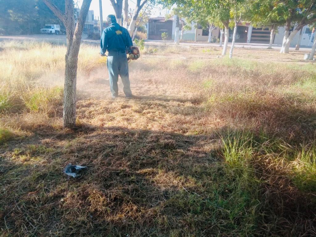 Aplica Servicios Públicos en Ahome ambicioso programa de embellecimiento y limpieza