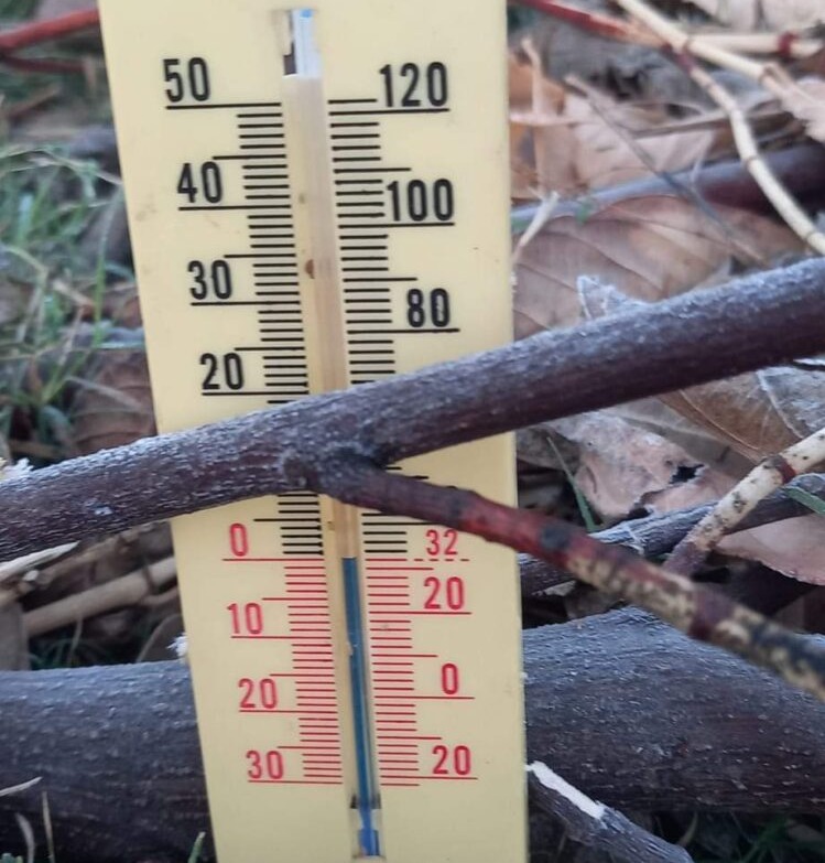 Se congelan en la sierra de Sinaloa; caen las temperaturas hasta 0 grados