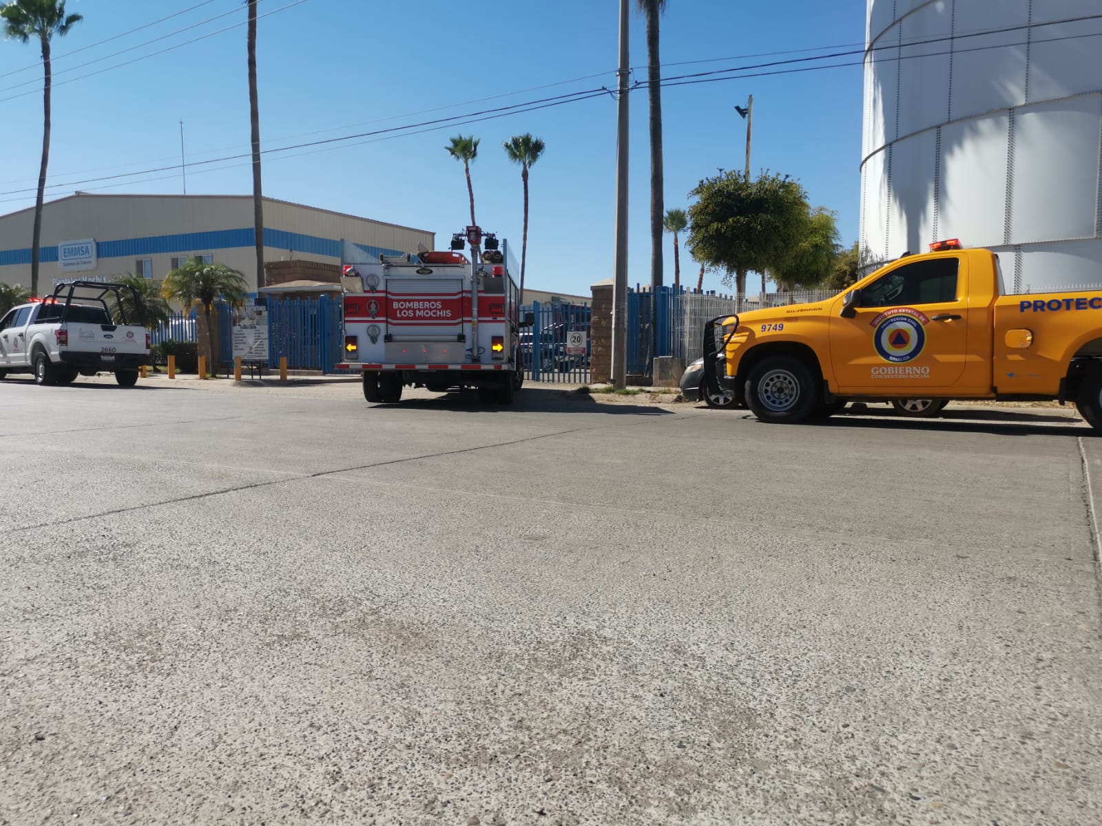 Cuerpos de emergencia rescatan a hombre que quedó colgado de una palmera en la Zona Industrial en Los Mochis
