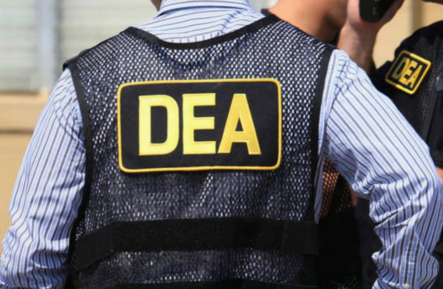 ¿Antidrogas o coludido? DEA destituyó discretamente a Nicholas Palmeri, jefe de la agencia en México