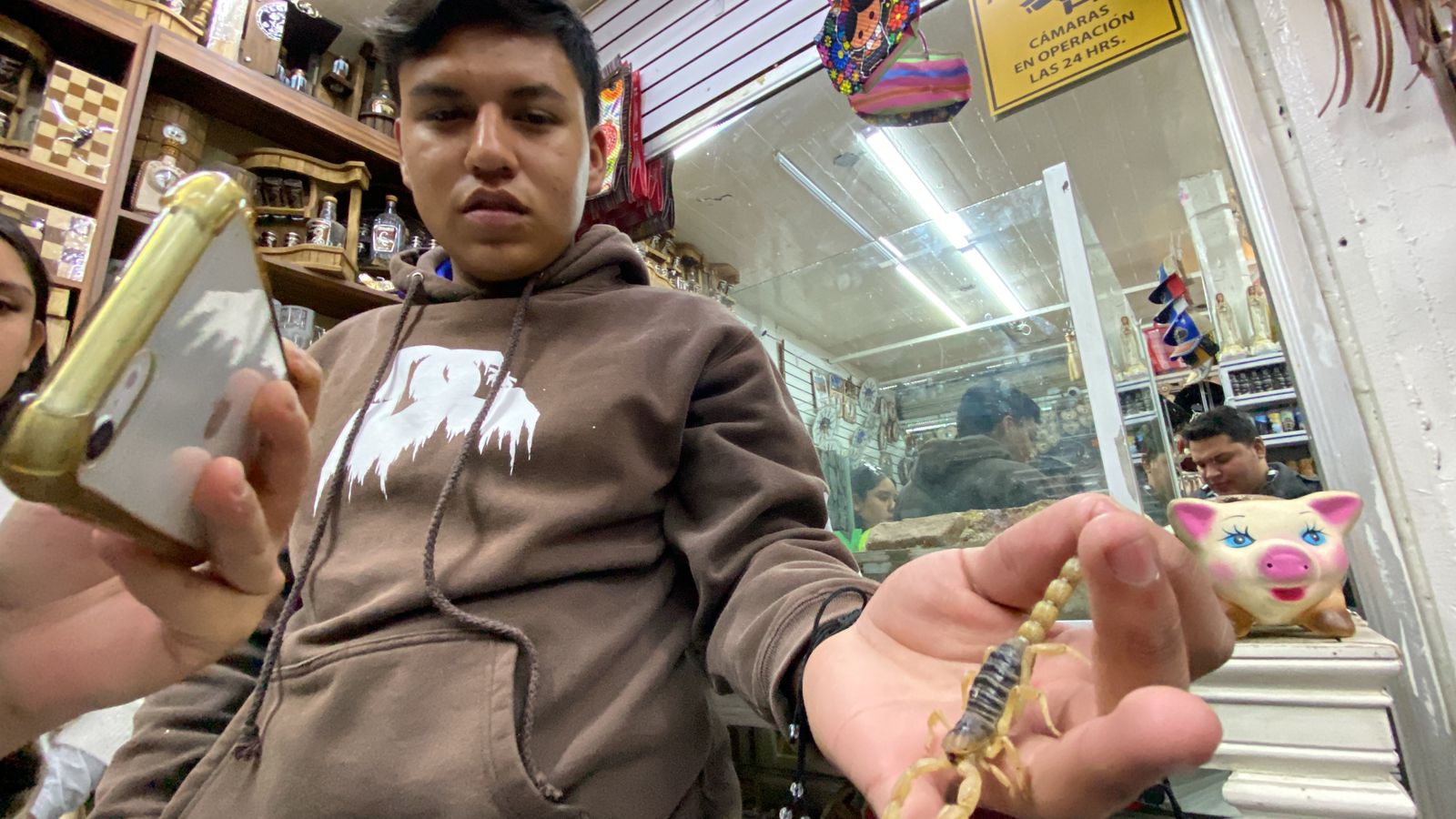 ¡Solo para valientes! En paletas, brochetas y hasta tacos, así se come el alacrán en Durango