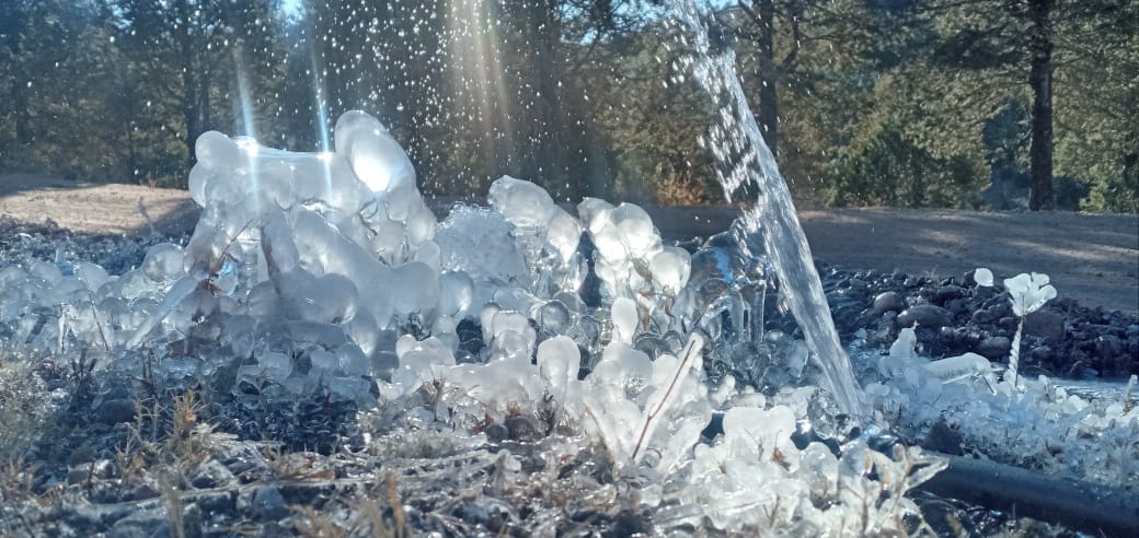 (FOTOS) ¡Se están congelando! Llegan a -2 grados en Santa Gertrudis, Badiraguato