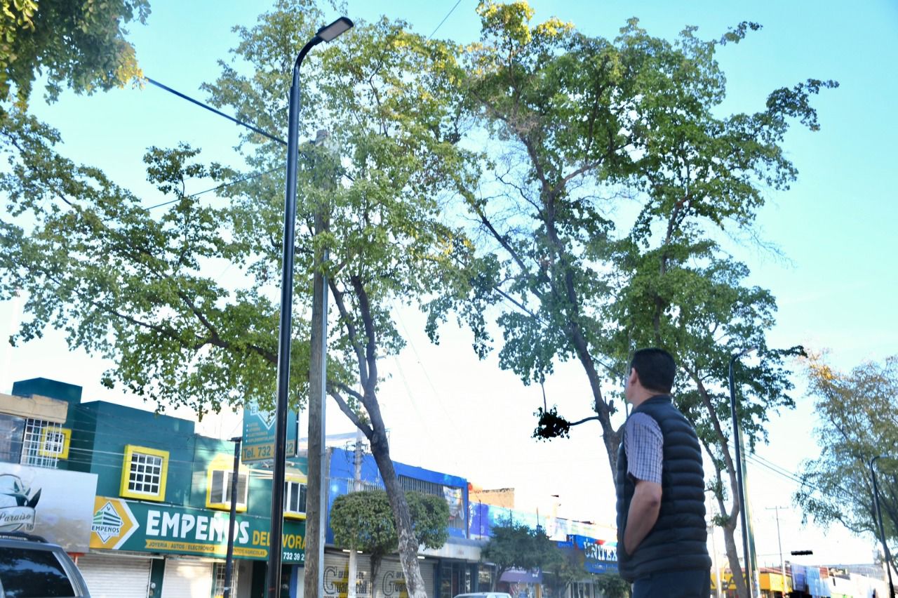 Iluminarán con lámparas led la Plazuela Municipal Pedro Infante, en Guamúchil