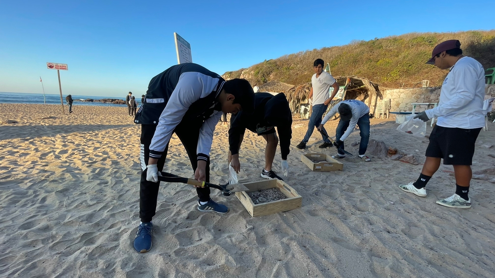 ¡Contra los microplásticos! Operadora de Playas lleva jornada de limpieza a “Playa Brujas” en Mazatlán