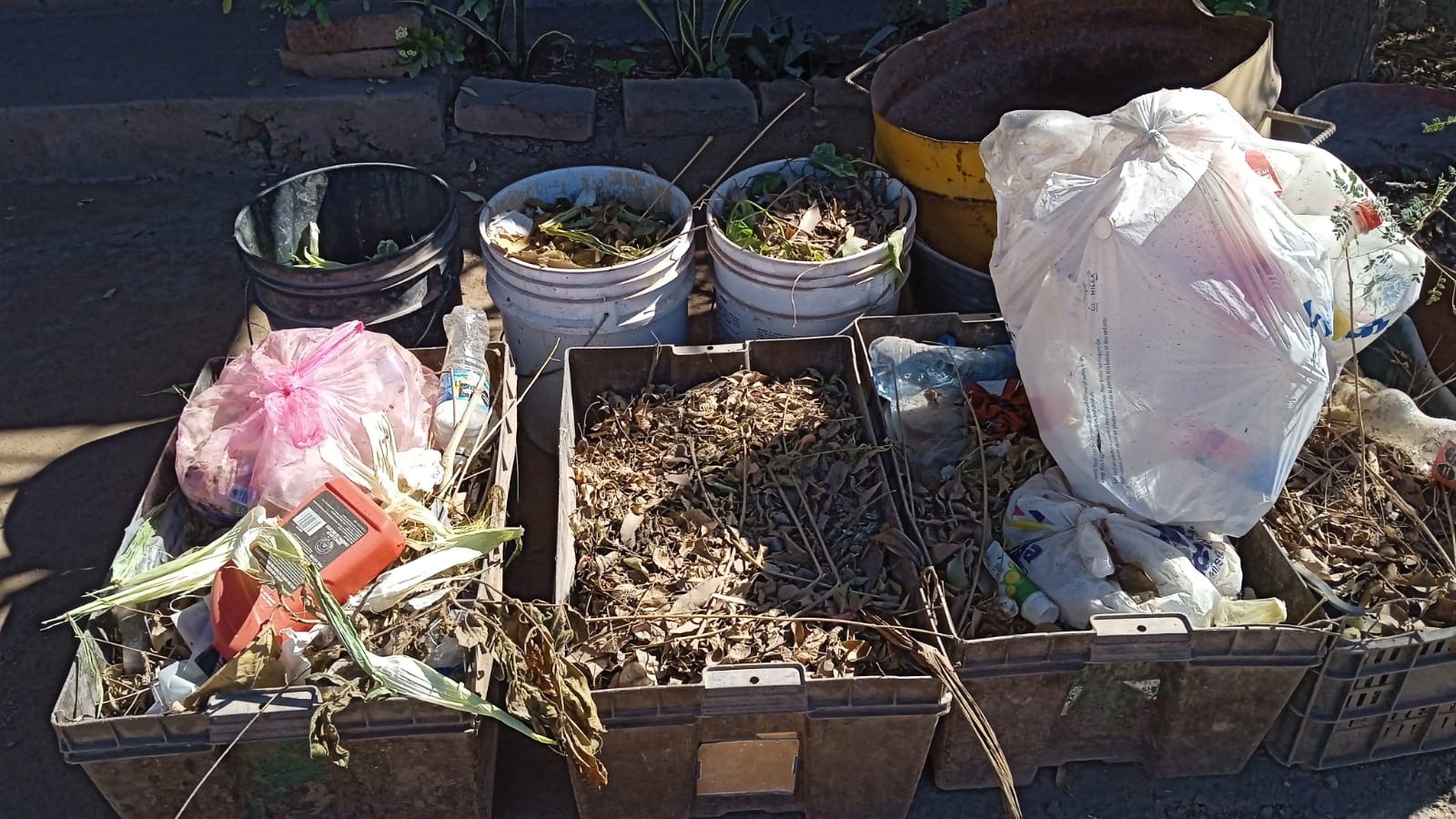 ¿Quién recoge la basura en el campo 35? Ni Ahome ni El Fuerte se han preocupado por mandar los camiones recolectores