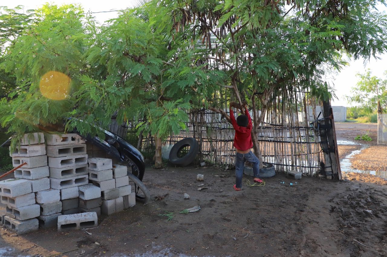 ¡No les daban de comer! Rescatan a más de 40 indígenas de Chihuahua que eran explotados en un campo agrícola de Ahome