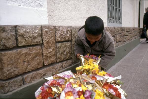Se alista DIF Mazatlán para Carnaval, buscarán proteger la niñez, pues aún detectan trabajo infantil