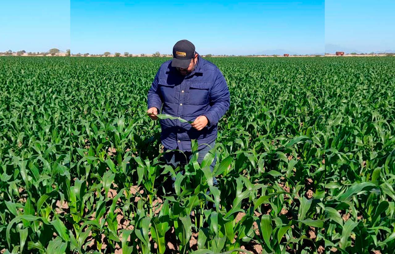 Se registra sensación térmica de 2 grados en El Carrizo
