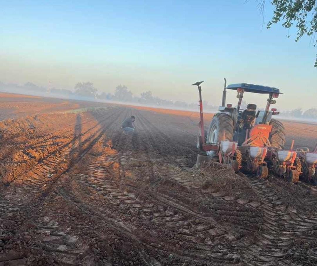 Pide Sanidad Vegetal que se abra  antes la ventanilla para cultivos de primavera-verano