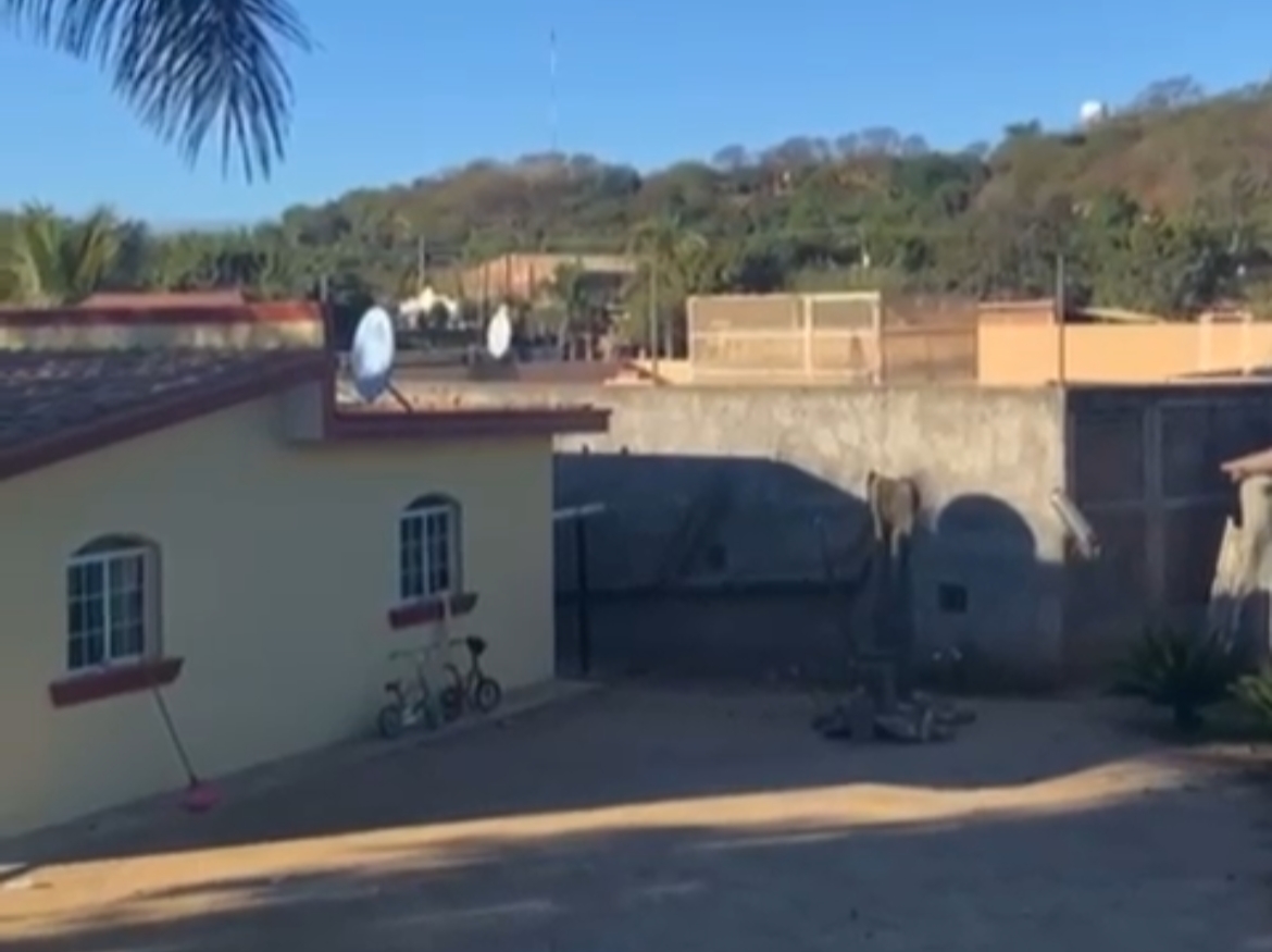 (VIDEO) Trascienden más detenidos en Jesús María; la balacera no ha parado en 7 horas