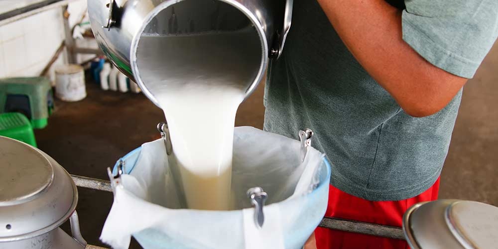 Lucharán ganaderos porque pasteurizadora paguen 15 pesos por litro de leche