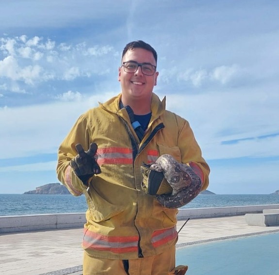 ¡Vaya susto! Bañistas se topan con víbora en playas de Mazatlán; fue capturada por bomberos y llevada al Acuario