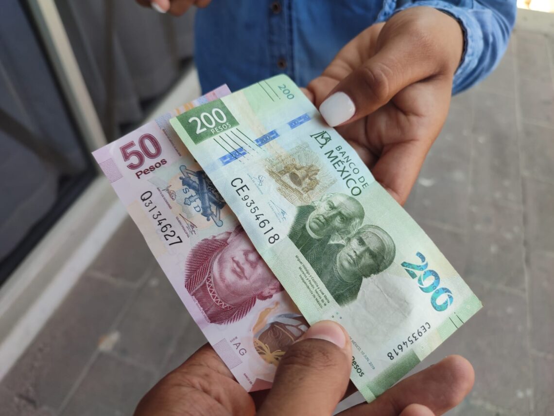 Ya pasó el aguinaldo, se vienen las utilidades; llaman a patrones a declarar ante el SAT este enero