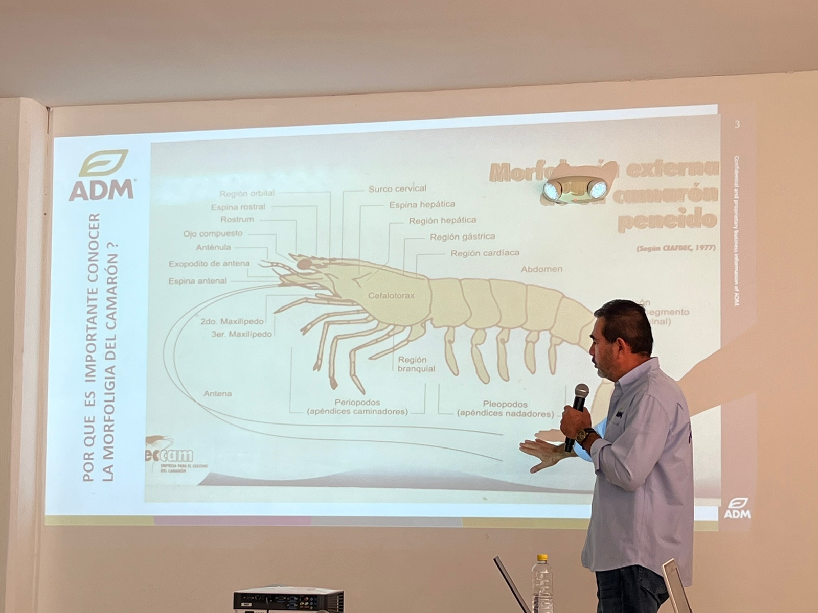 Preparados acuacultores de Escuinapa para reactivar mil 336 hectáreas de cultivo de camarón