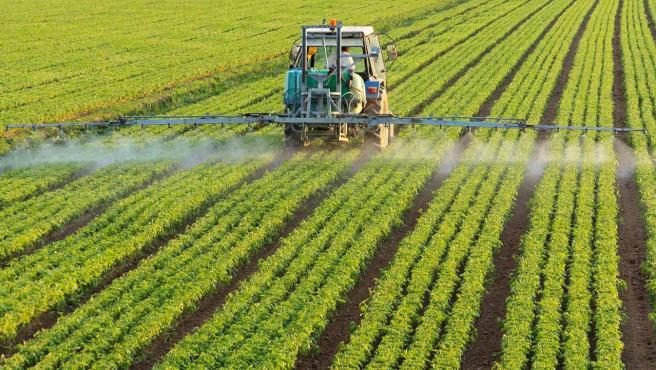 Al campo mazatleco no le afectó el ‘Jueves Negro’, pero sí la inflación; sube 35 por ciento el precio del fertilizante
