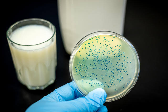 Hará Coepriss curso masivo para pasteurizar leche en Sinaloa; van dos casos de brucelosis