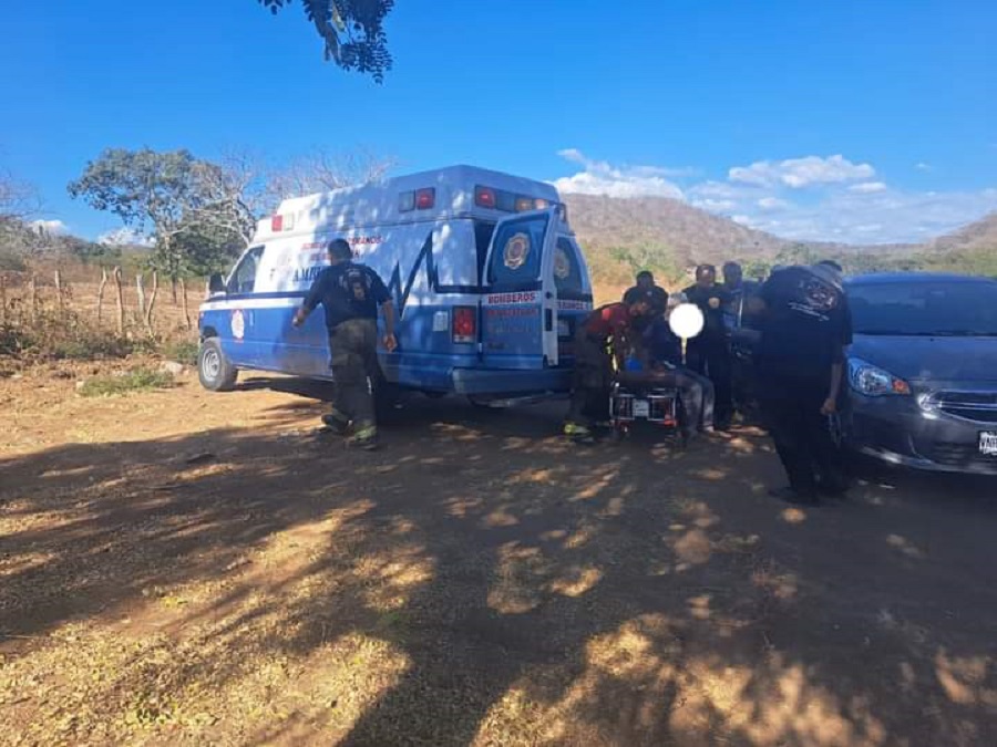 Abejas atacan a tres personas en la comunidad de La Noria, en Mazatlán