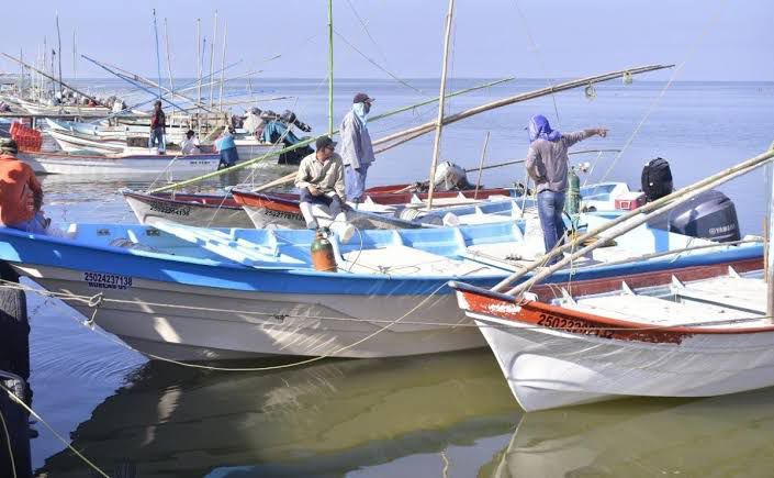 Agonizan campos pesqueros de Angostura; hasta marzo podría vedar el camarón