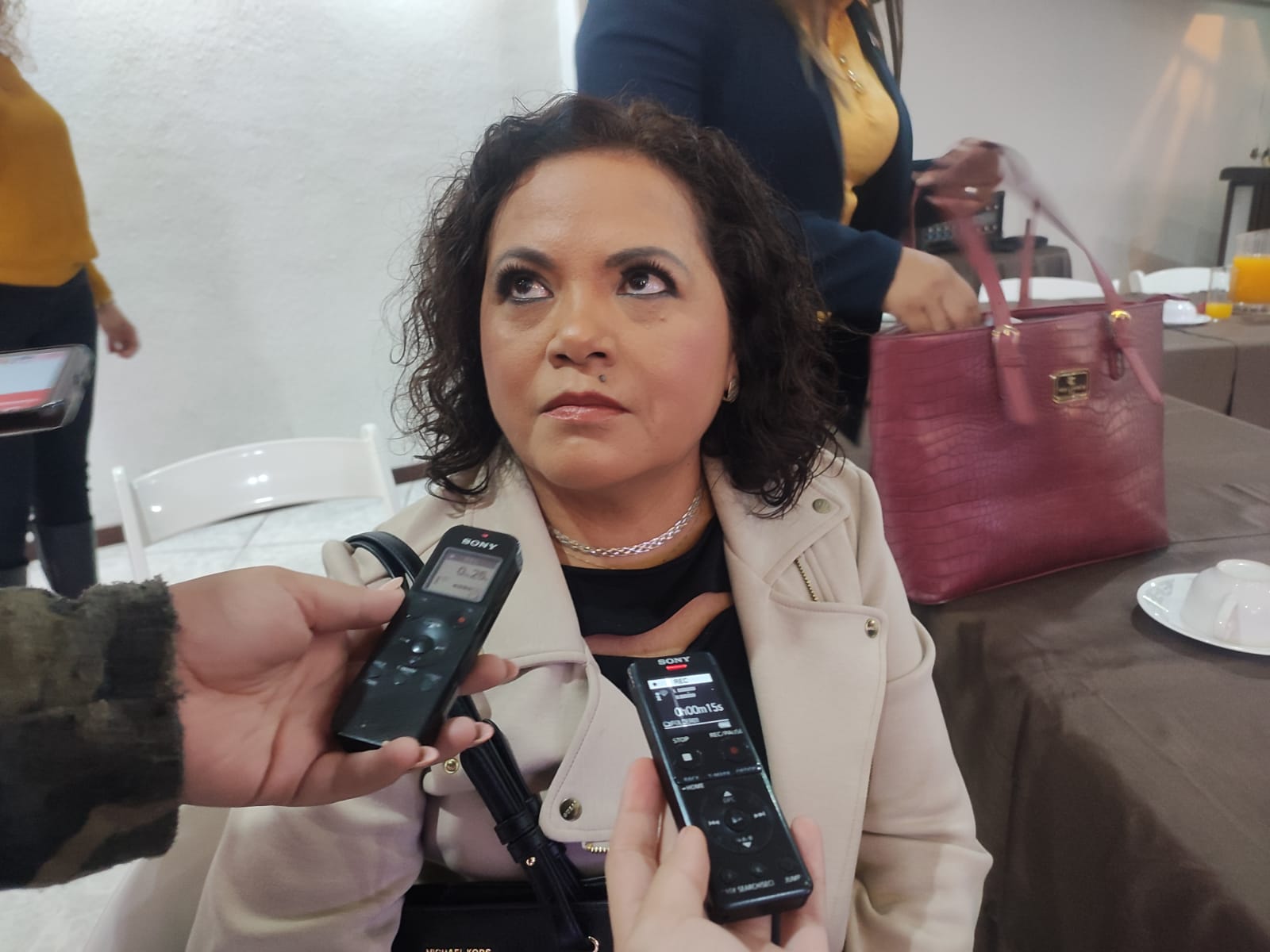 Al exsecretario le faltó decir que quien gobierna en Guasave es el Nito Ahumada: Aurelia Leal