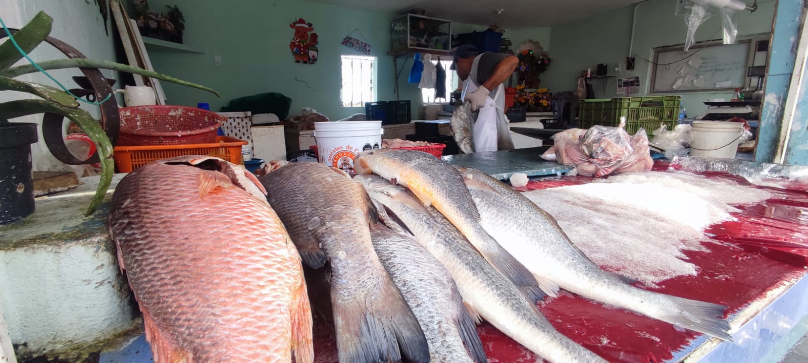 Buscan ribereños eliminar el ‘coyotaje’; quieren vender directamente sus productos, en Mazatlán