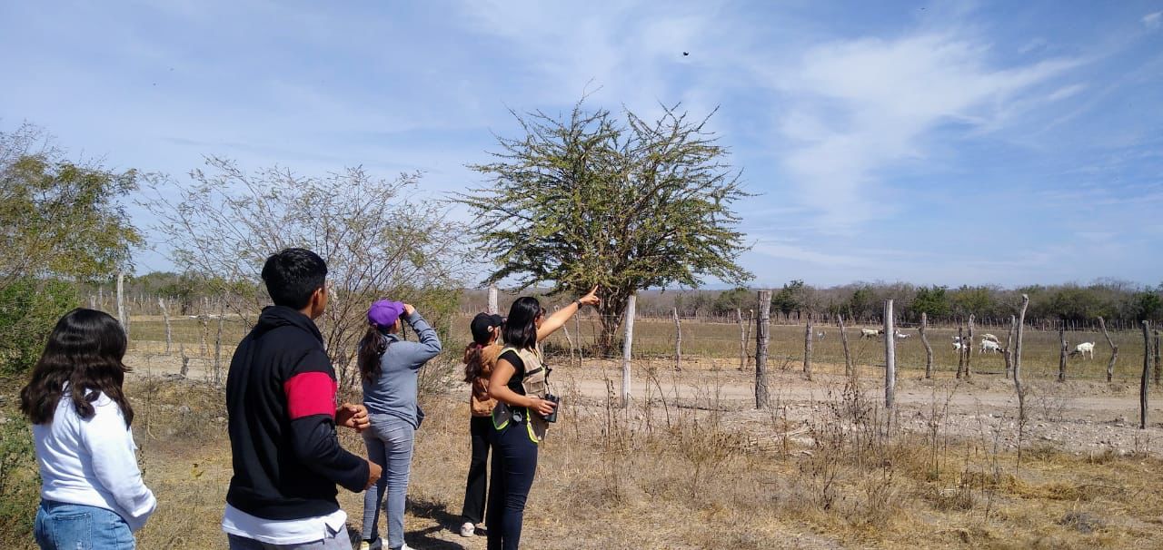 ‘Conteo de aves en tu comunidad’ llegó al Ejido La Cofradía, en Mazatlán