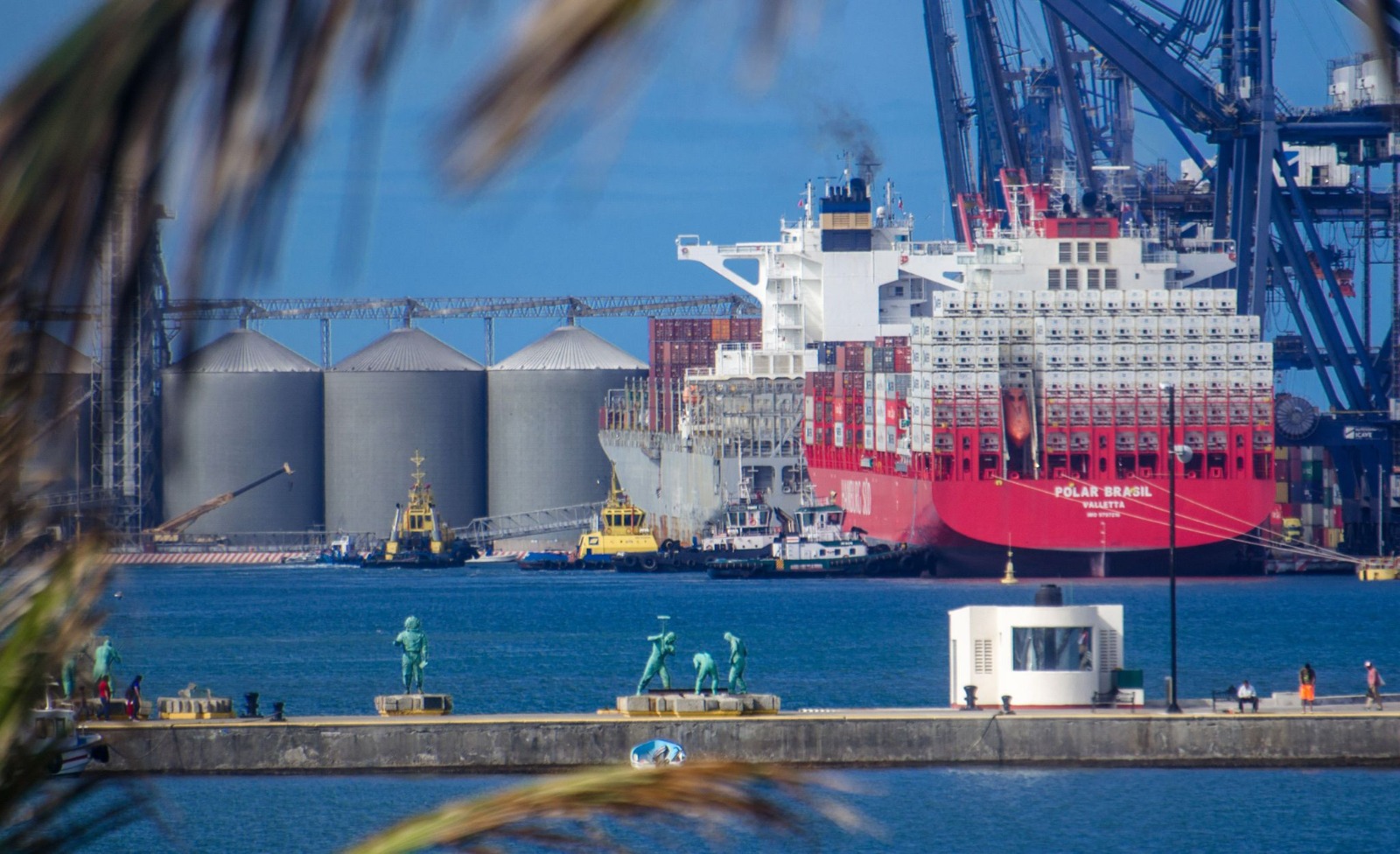 Crece a 15 mil 266 mdd el superávit de exportaciones agroalimentarias de México en EU