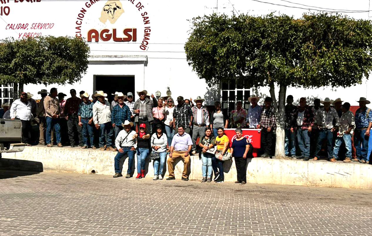 ‘Que nos acabemos las vacas que tiene’, buscan ganaderos de San Ignacio llegar con Rocha Moya