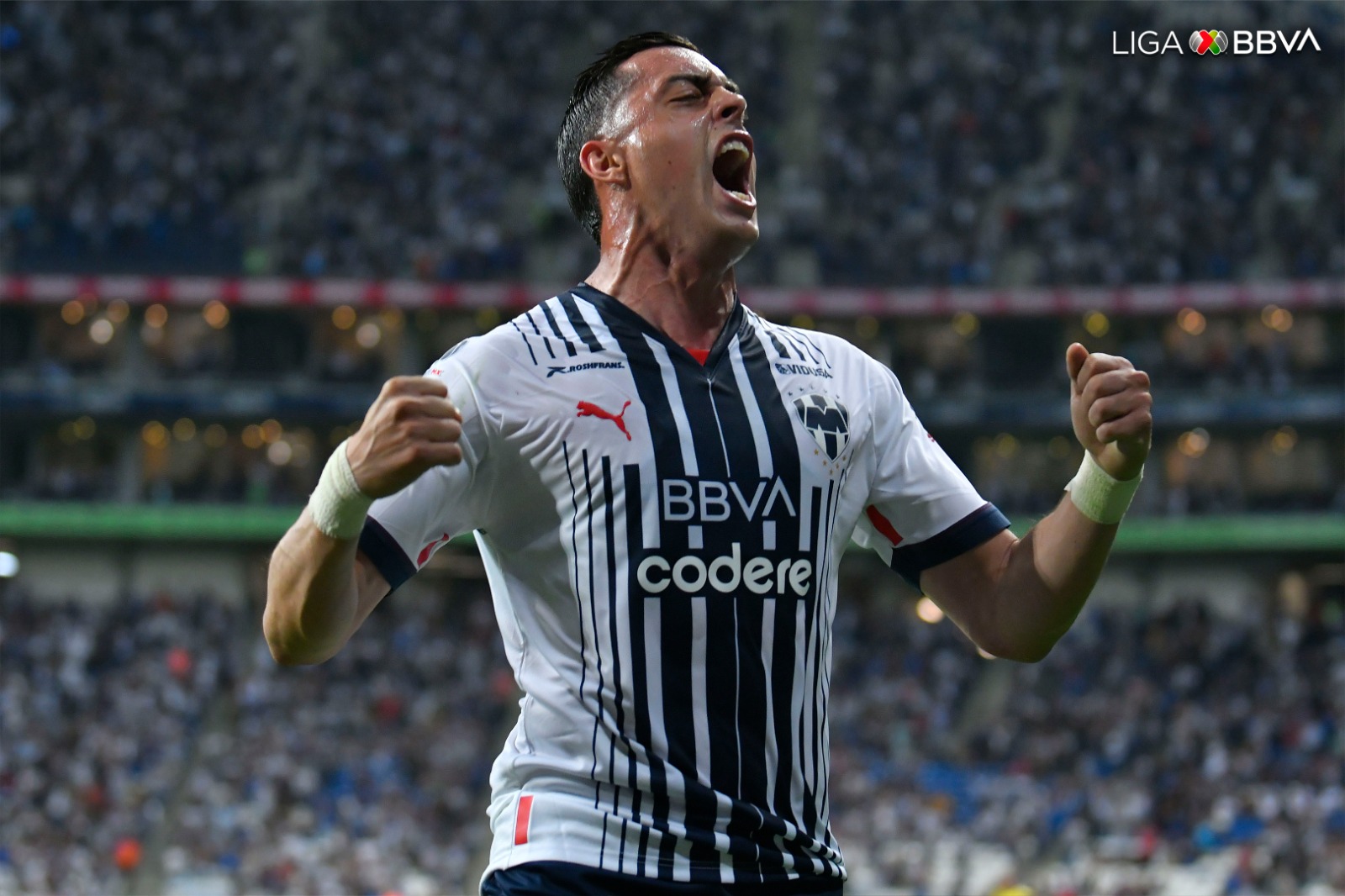 ¡Grítalo Monterrey! Los Rayados son los líderes de la Liga Mx