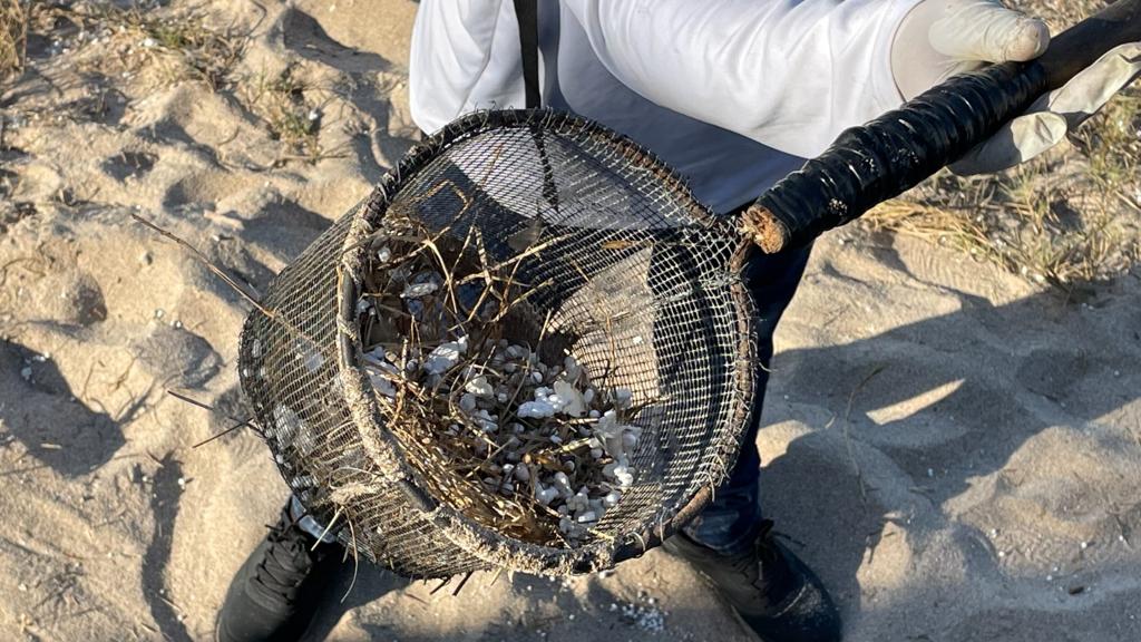 Más de 3 toneladas de basura se retiraron por Operadora de Playas durante días de Carnaval