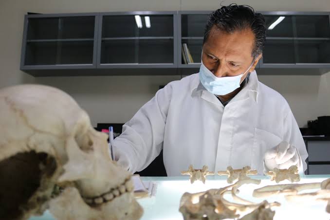 ¡Atención! Se iniciará en Sinaloa muestras genéticas para identificar cuerpos de desaparecidos: Alejandro Encinas