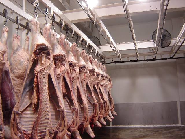 Se viene incremento al consumo de carne durante Carnaval; hasta un 25% de aumento: Rastro TIF