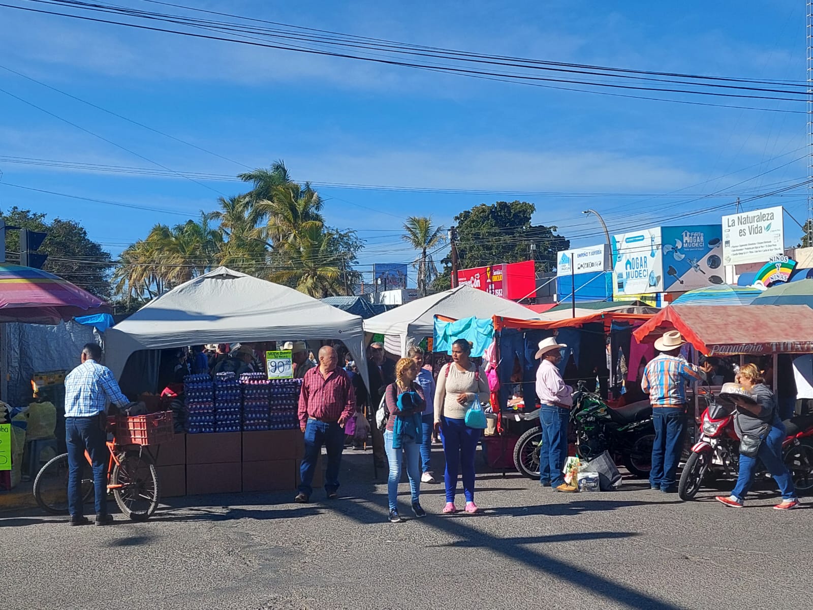 Madrugan amas de casa a los puestos del tianguis, buscan bajos costos en los alimentos
