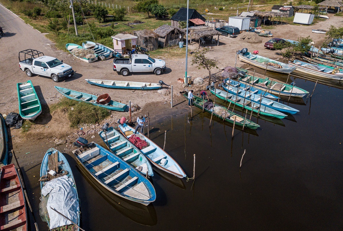 Va terminando el ‘hechizo’ para pescadores del sur, cierran la zafra camaronera con recuperación en capturas