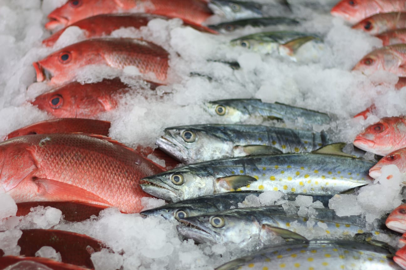 Garantizado el abasto de pescados y mariscos en México para Cuaresma, asegura Agricultura