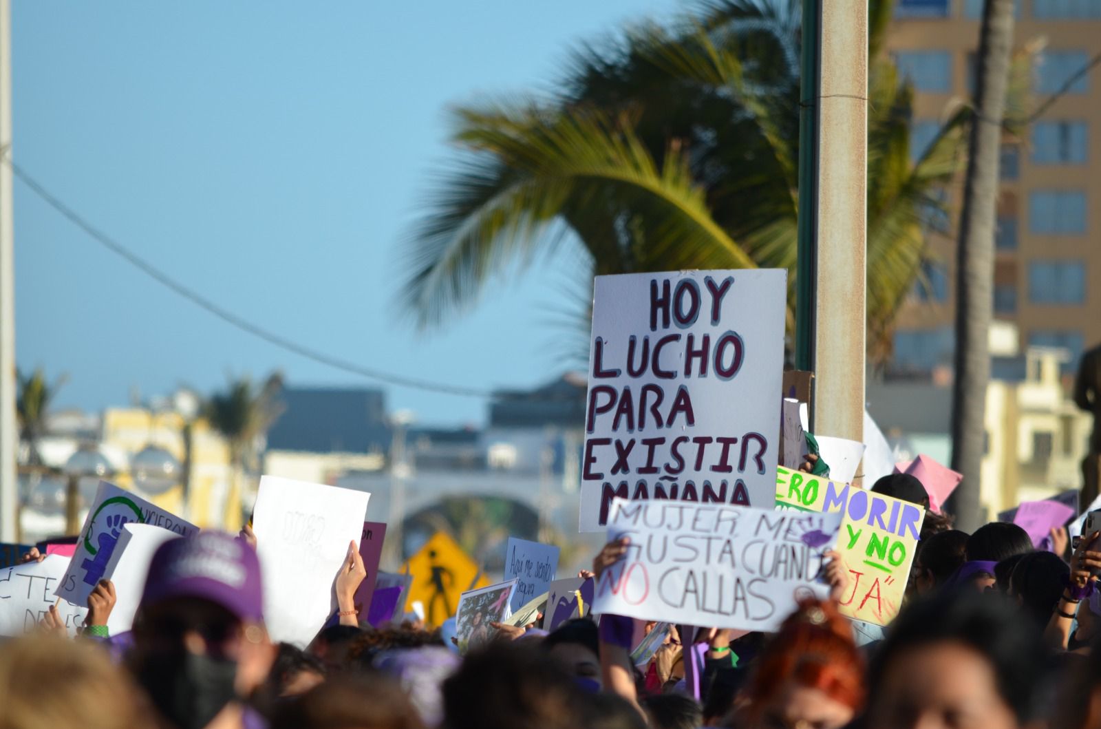 ‘Cobarde e inhumano’, feministas ante actuar de familia de boxeador que agredió brutalmente a su pareja en Mazatlán