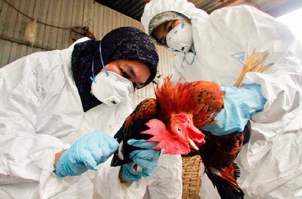 ¿Estamos preparados para una nueva pandemia global? Esto dice la OMS