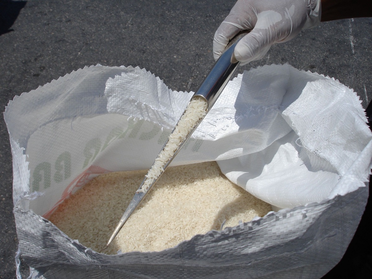 Importará México arroz pulido de Pakistán para abasto nacional; firma plan para evitar riesgos fitosanitarios 