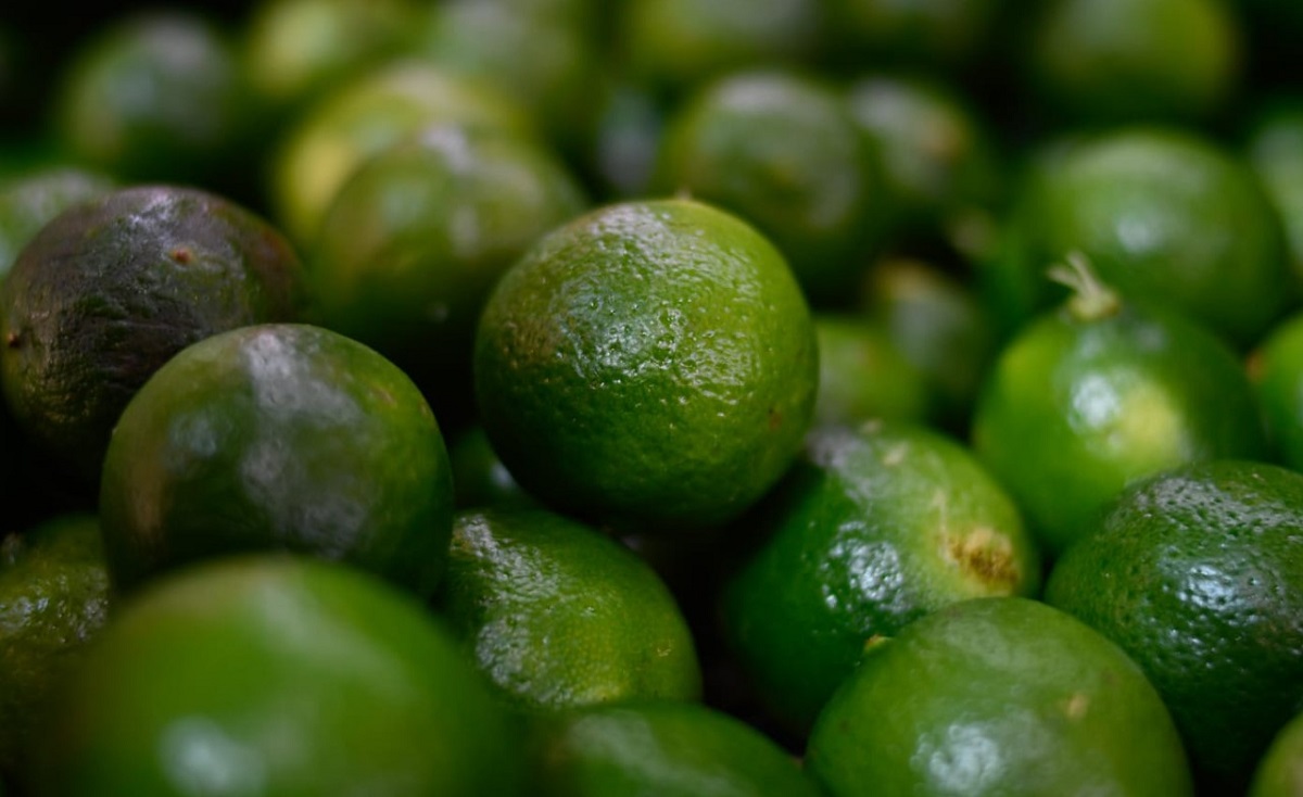Al alza el precio del limón colima ante escasez del producto en el mercado: Canirac Los Mochis