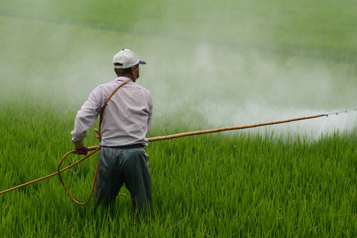 Decreto presidencial que prohíbe el uso del glifosato impactará en los costos de producción: Caades